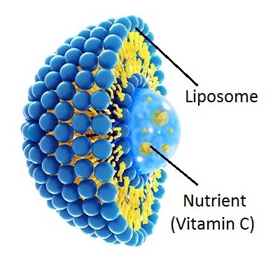Liposoomsed vitamiinid
